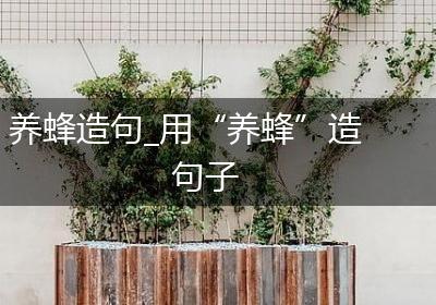 养蜂造句_用“养蜂”造句子