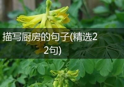 描写厨房的句子(精选22句)