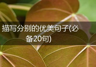 描写分别的优美句子(必备20句)