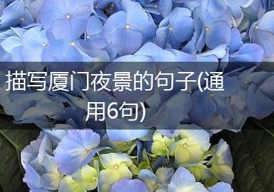 描写厦门夜景的句子(通用6句)