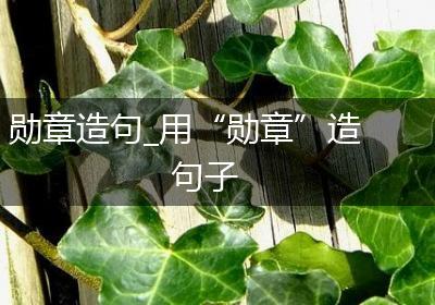 勋章造句_用“勋章”造句子