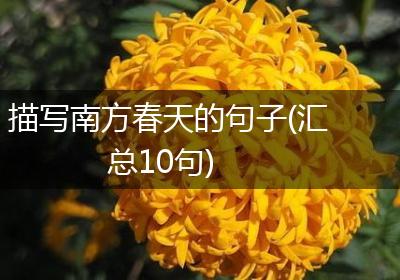 描写南方春天的句子(汇总10句)