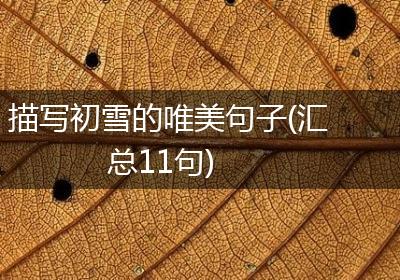 描写初雪的唯美句子(汇总11句)