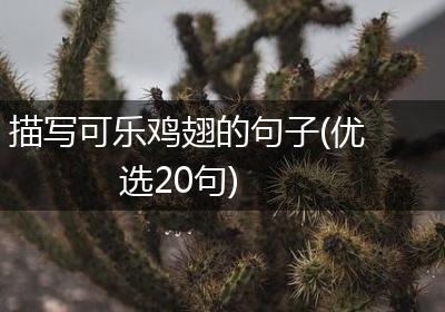 描写可乐鸡翅的句子(优选20句)
