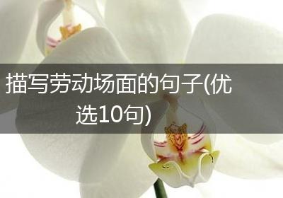 描写劳动场面的句子(优选10句)
