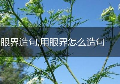 眼界造句,用眼界怎么造句