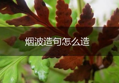 烟波造句怎么造