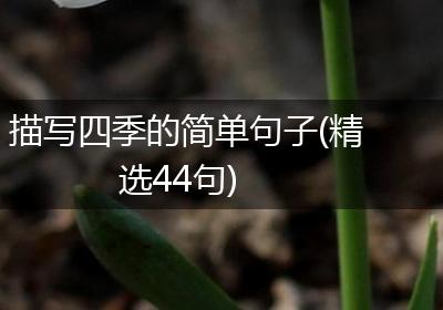 描写四季的简单句子(精选44句)