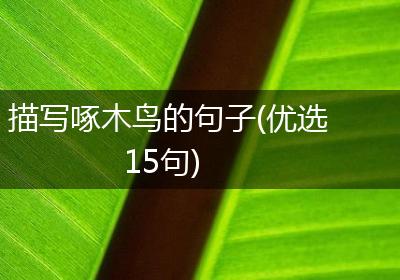 描写啄木鸟的句子(优选15句)