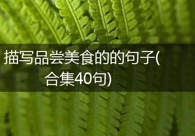 描写品尝美食的的句子(合集40句)