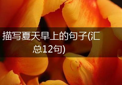 描写夏天早上的句子(汇总12句)
