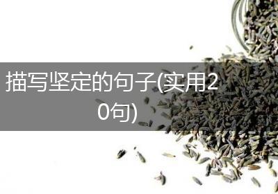 描写坚定的句子(实用20句)