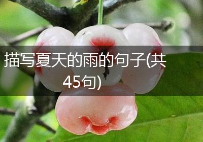 描写夏天的雨的句子(共45句)