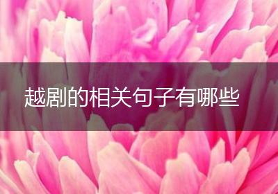 越剧的相关句子有哪些