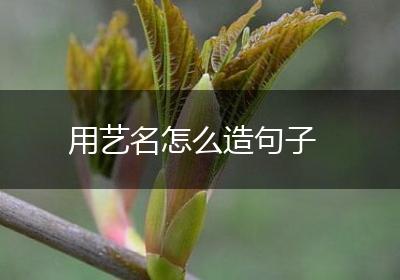 用艺名怎么造句子