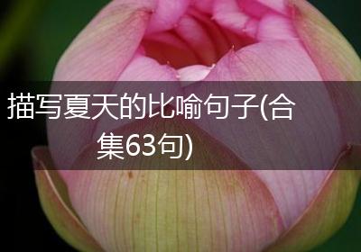 描写夏天的比喻句子(合集63句)