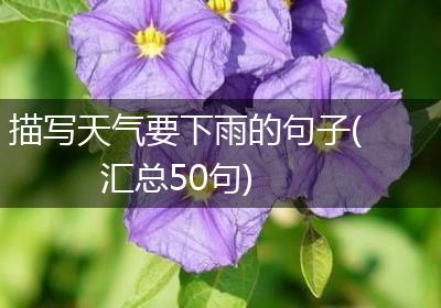 描写天气要下雨的句子(汇总50句)