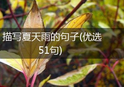 描写夏天雨的句子(优选51句)