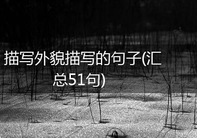 描写外貌描写的句子(汇总51句)