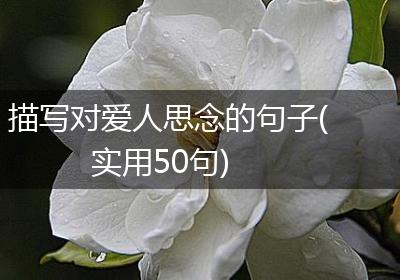 描写对爱人思念的句子(实用50句)