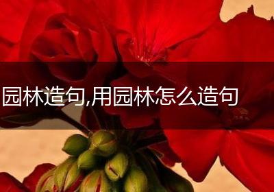 园林造句,用园林怎么造句
