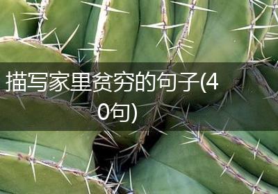描写家里贫穷的句子(40句)
