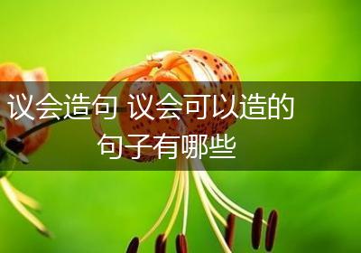 议会造句 议会可以造的句子有哪些