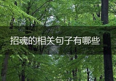 招魂的相关句子有哪些
