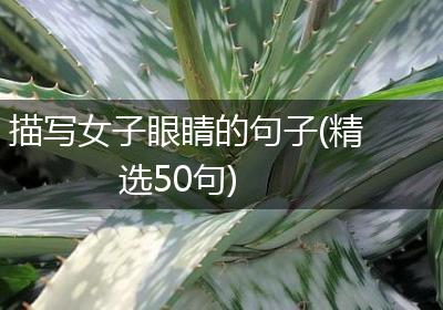 描写女子眼睛的句子(精选50句)