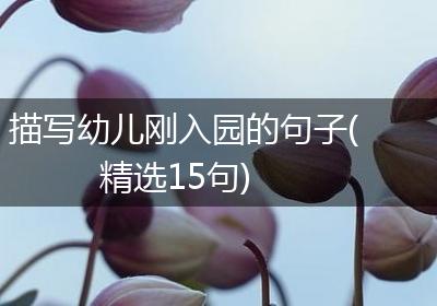 描写幼儿刚入园的句子(精选15句)