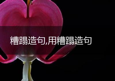 糟蹋造句,用糟蹋造句