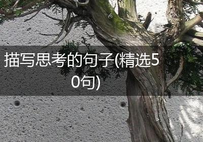 描写思考的句子(精选50句)