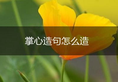 掌心造句怎么造
