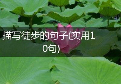 描写徒步的句子(实用10句)