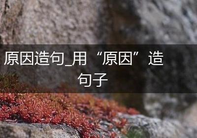 原因造句_用“原因”造句子