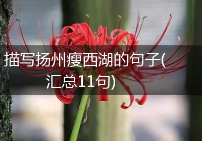 描写扬州瘦西湖的句子(汇总11句)