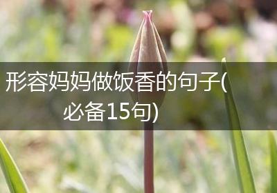形容妈妈做饭香的句子(必备15句)