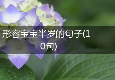形容宝宝半岁的句子(10句)