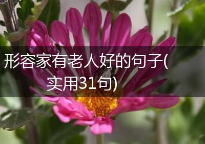 形容家有老人好的句子(实用31句)