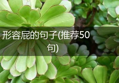 形容屁的句子(推荐50句)