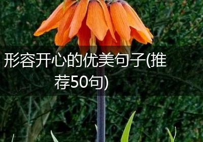 形容开心的优美句子(推荐50句)