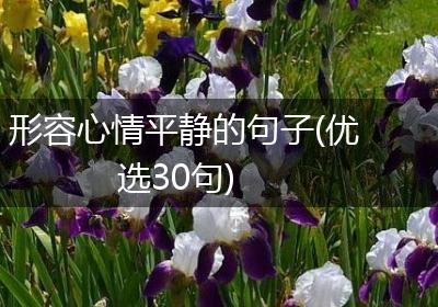 形容心情平静的句子(优选30句)