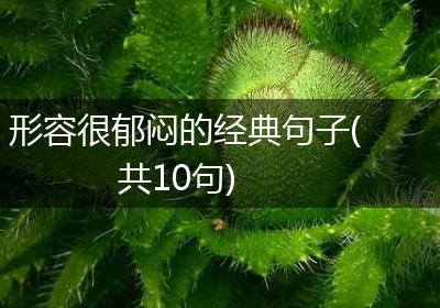 形容很郁闷的经典句子(共10句)