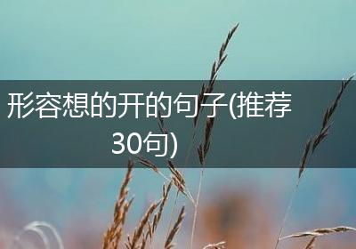 形容想的开的句子(推荐30句)