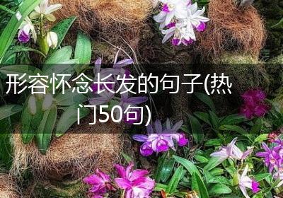 形容怀念长发的句子(热门50句)