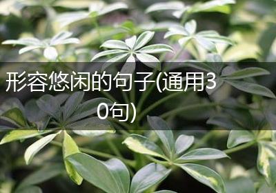 形容悠闲的句子(通用30句)