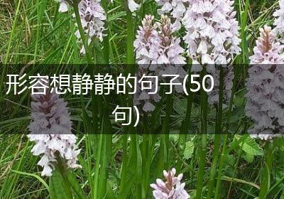 形容想静静的句子(50句)