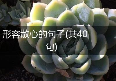 形容散心的句子(共40句)