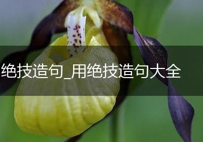绝技造句_用绝技造句大全