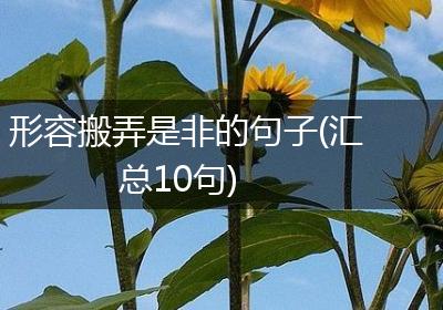 形容搬弄是非的句子(汇总10句)